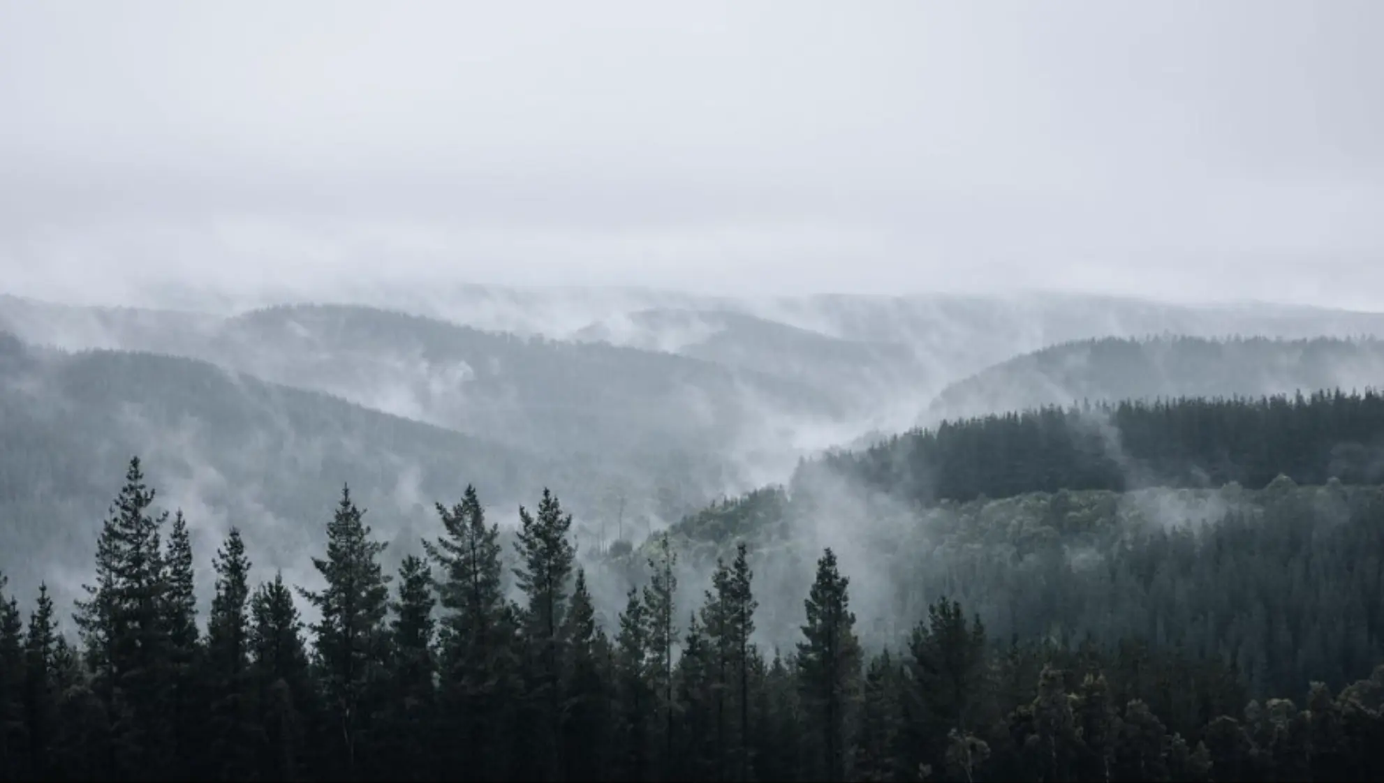 Great Otway National Park