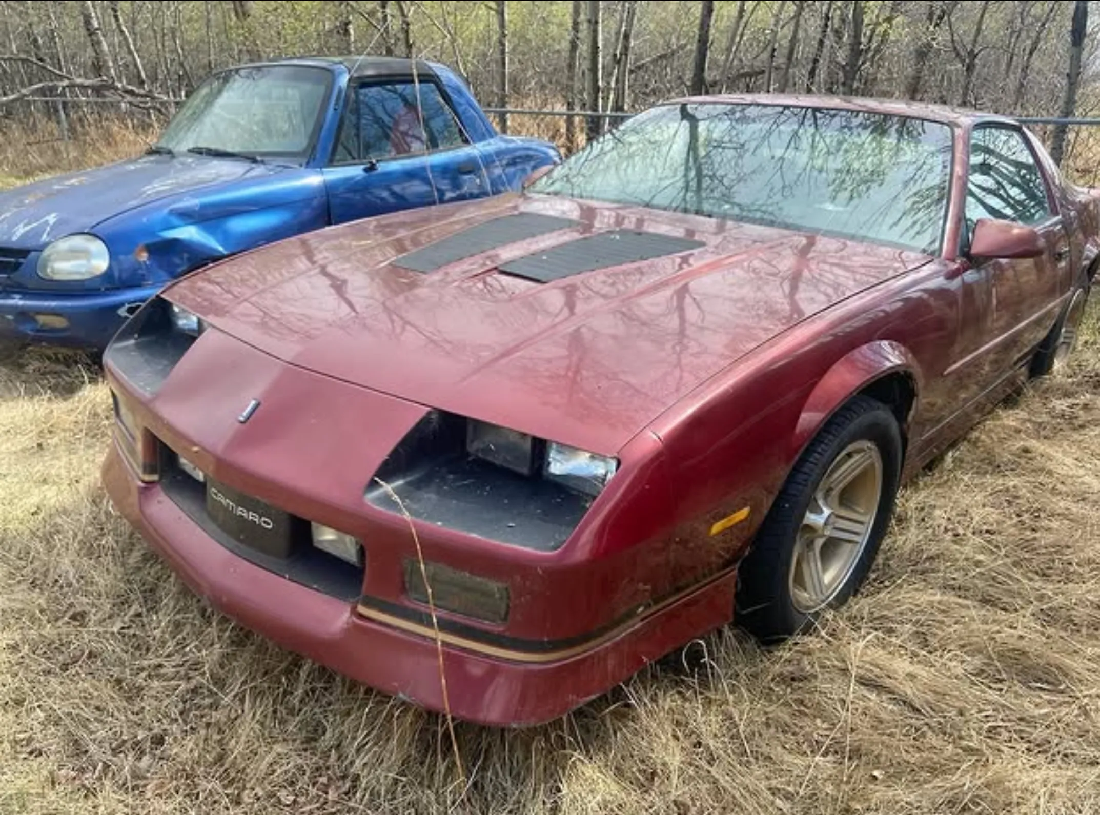roadworthy for private sale