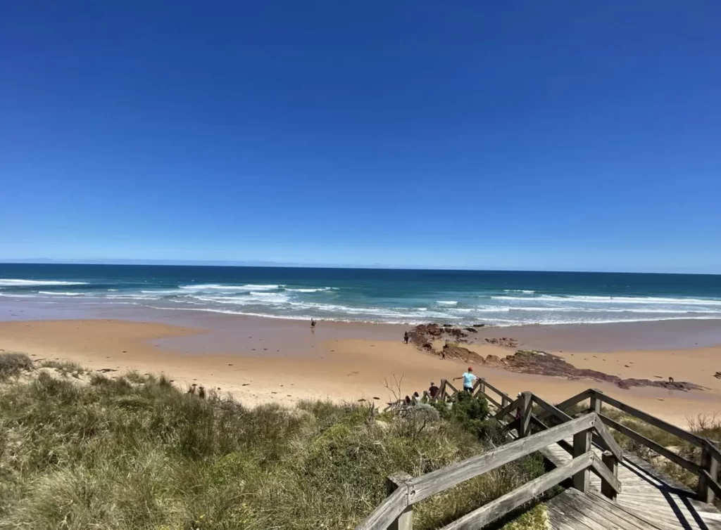 Forrest Caves Tidal Walk