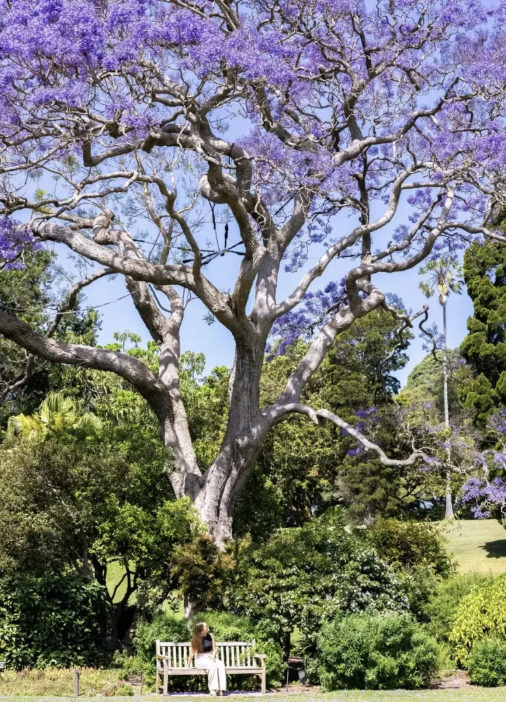 What To Do Inside The Gardens