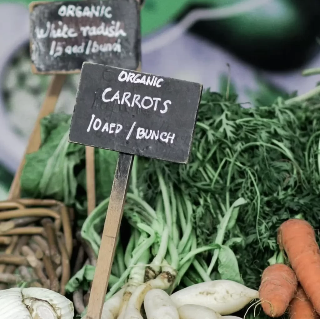 Fresh Food Spots That Make Mornings Worth It